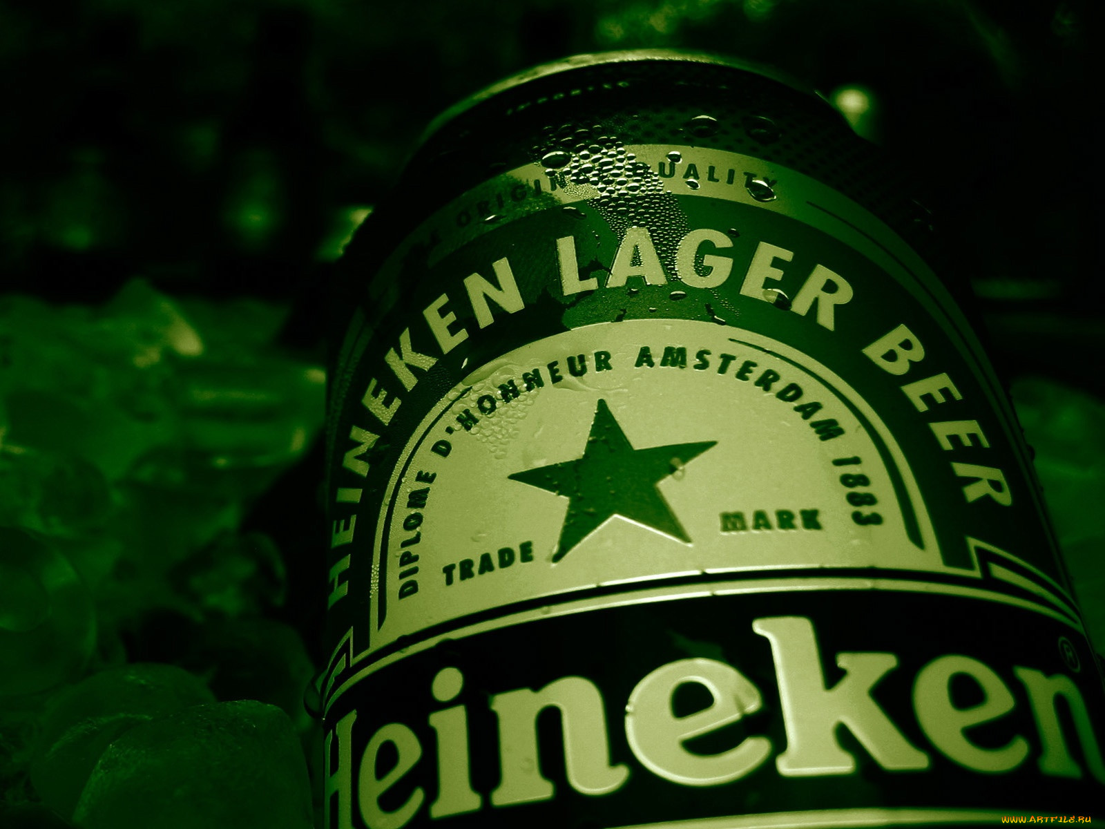 , heineken